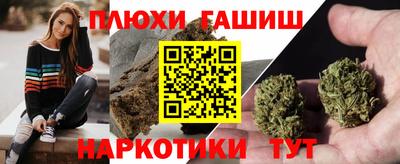 сатива Апшеронск