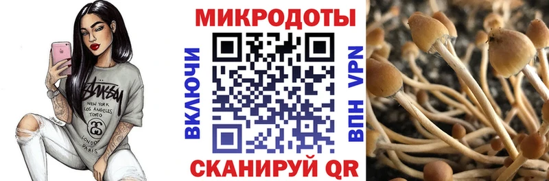 где купить наркоту  ссылка на мегу как зайти  Псилоцибиновые грибы мухоморы  Великий Новгород 